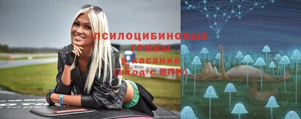 дурь Белокуриха